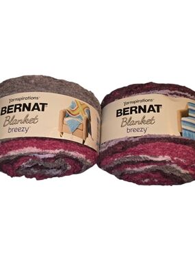 2 Bernat Blanket Breezy Secret Garden Yarn 8.8oz 530 Yds Discontinued